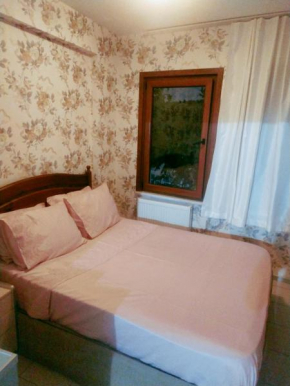 Ezgi house 1